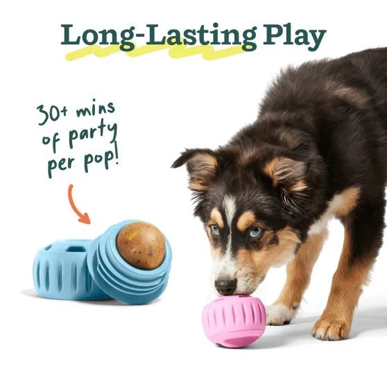 Pupsicle Birthday Pops Dog Treat Refills – Long-Lasting, All-Natural, Festive, Made in USA - Image 6