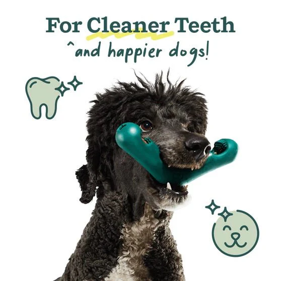 Bite n’ Brush Dog Dental Chew Toy & Treat Refills– Self-Cleaning, Teeth & Gum Care, Plaque & Tartar Remover - Image 4