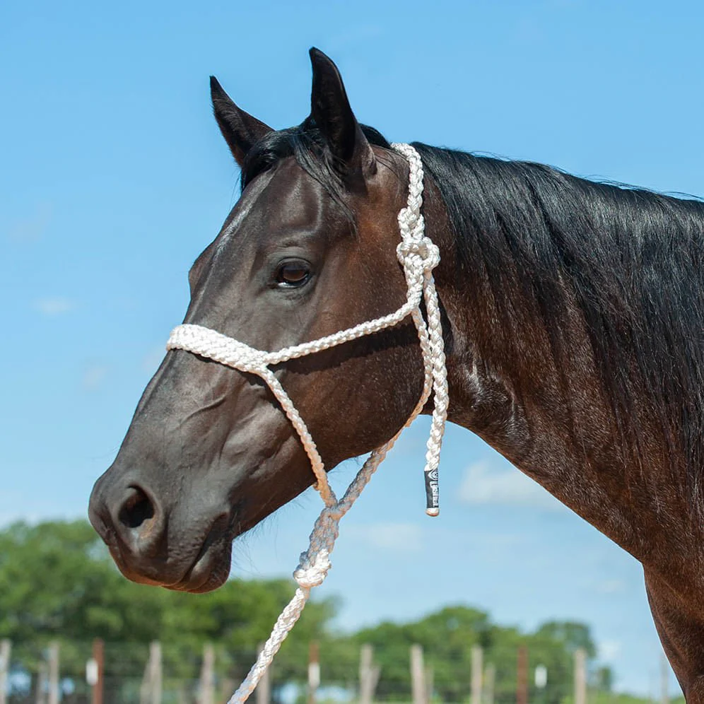 Braided Mule Tape Halter with 9' Lead - Image 9