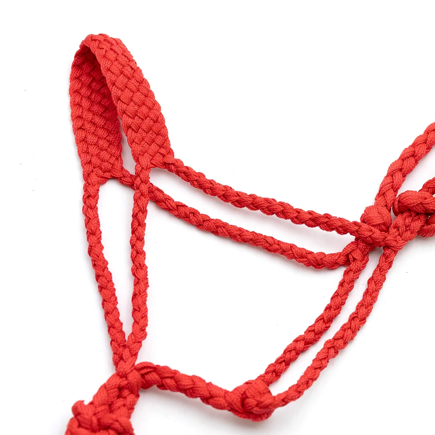 Jeffers Braided Mule Tape Halter with 10' Lead for Horses - Image 22