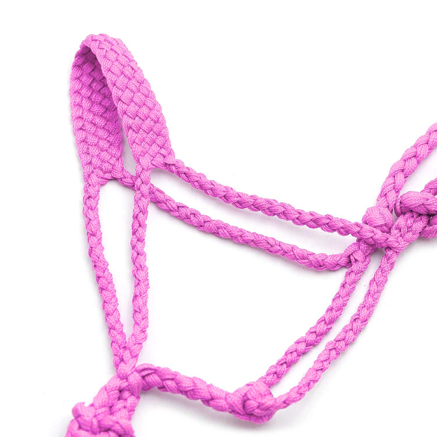 Jeffers Braided Mule Tape Halter with 10' Lead for Horses - Image 32