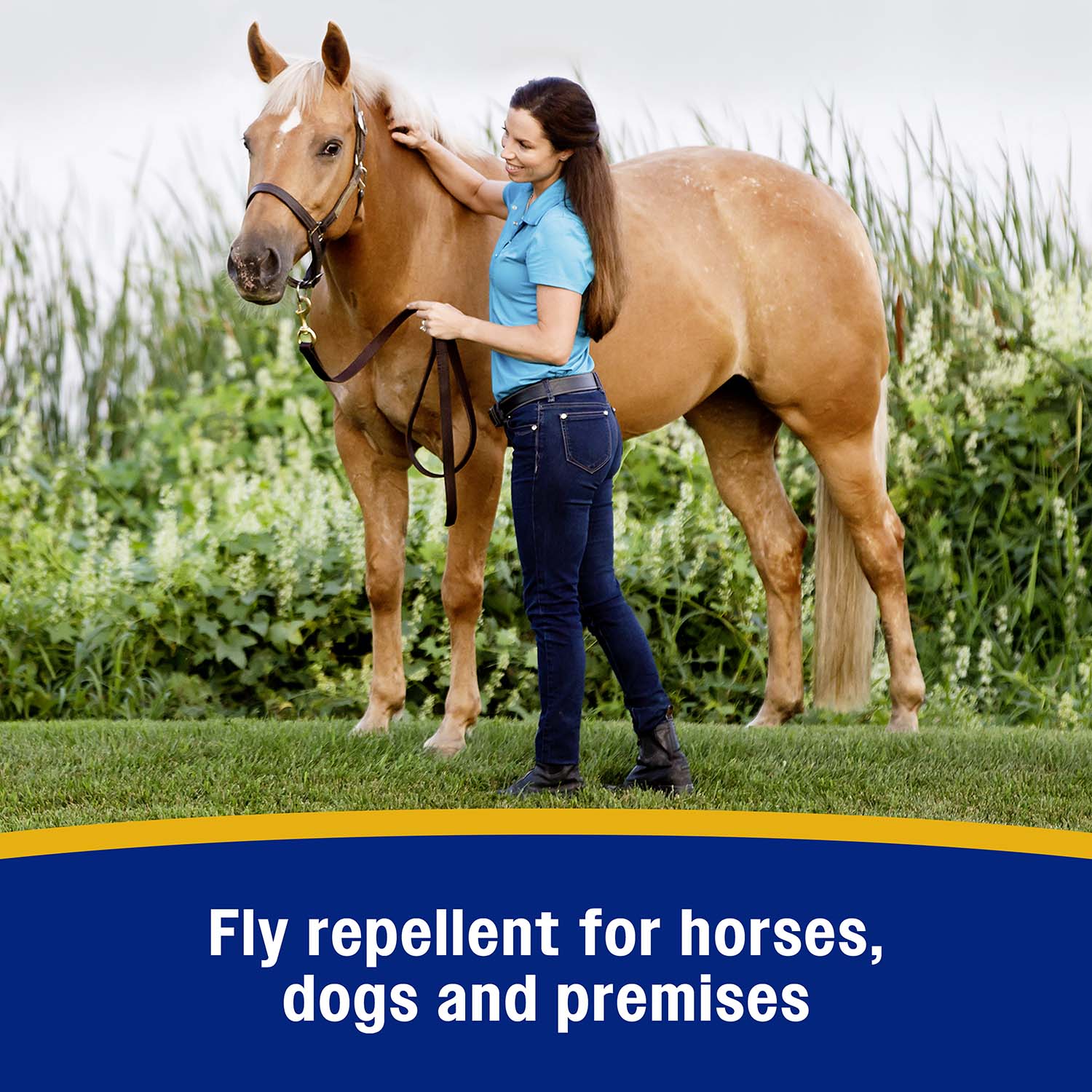 Bronco e Equine Fly Spray - Image 8