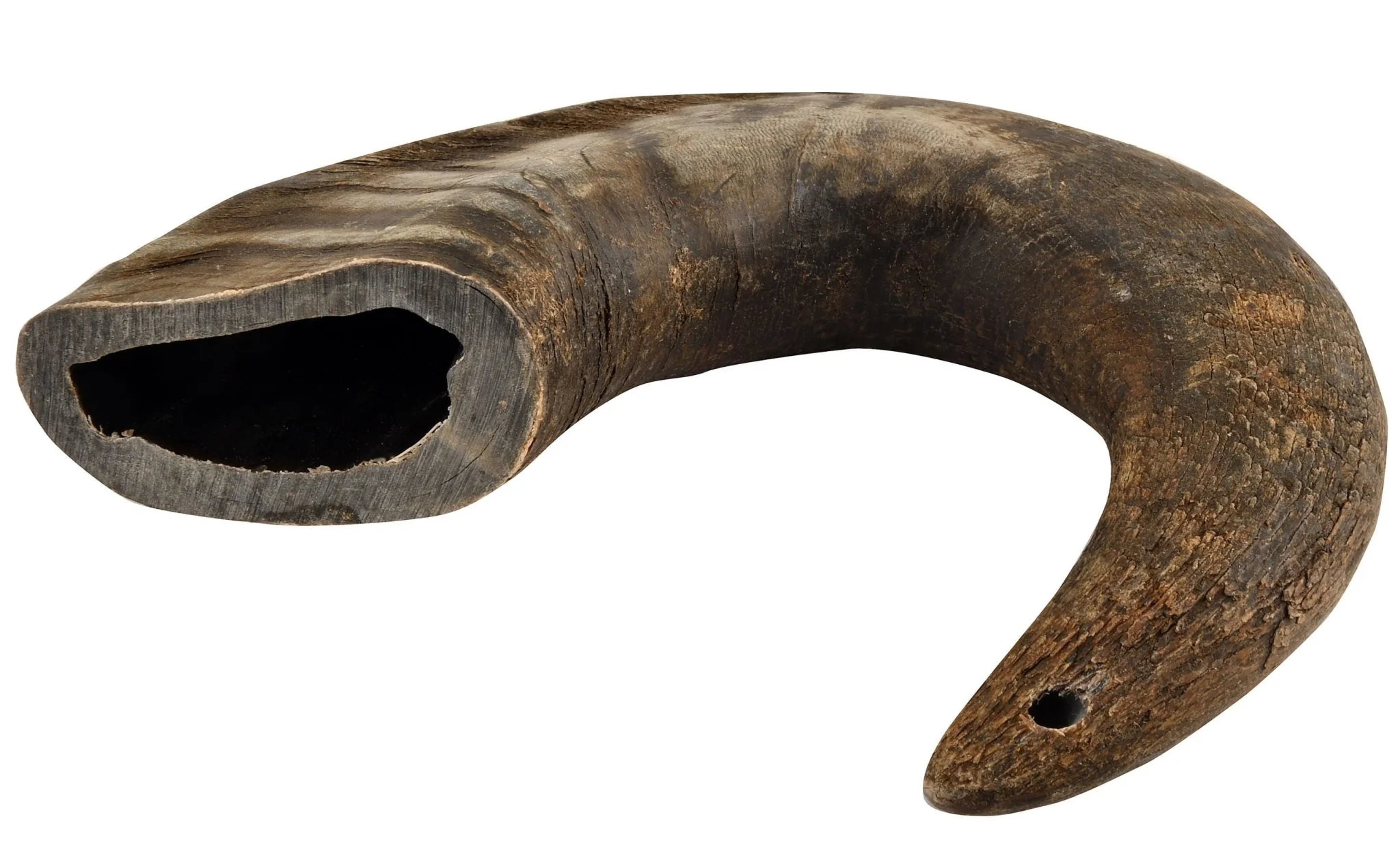 QT Dog Buffalo Hornz Natural Buffalo Horn Dog Chew - Image 5