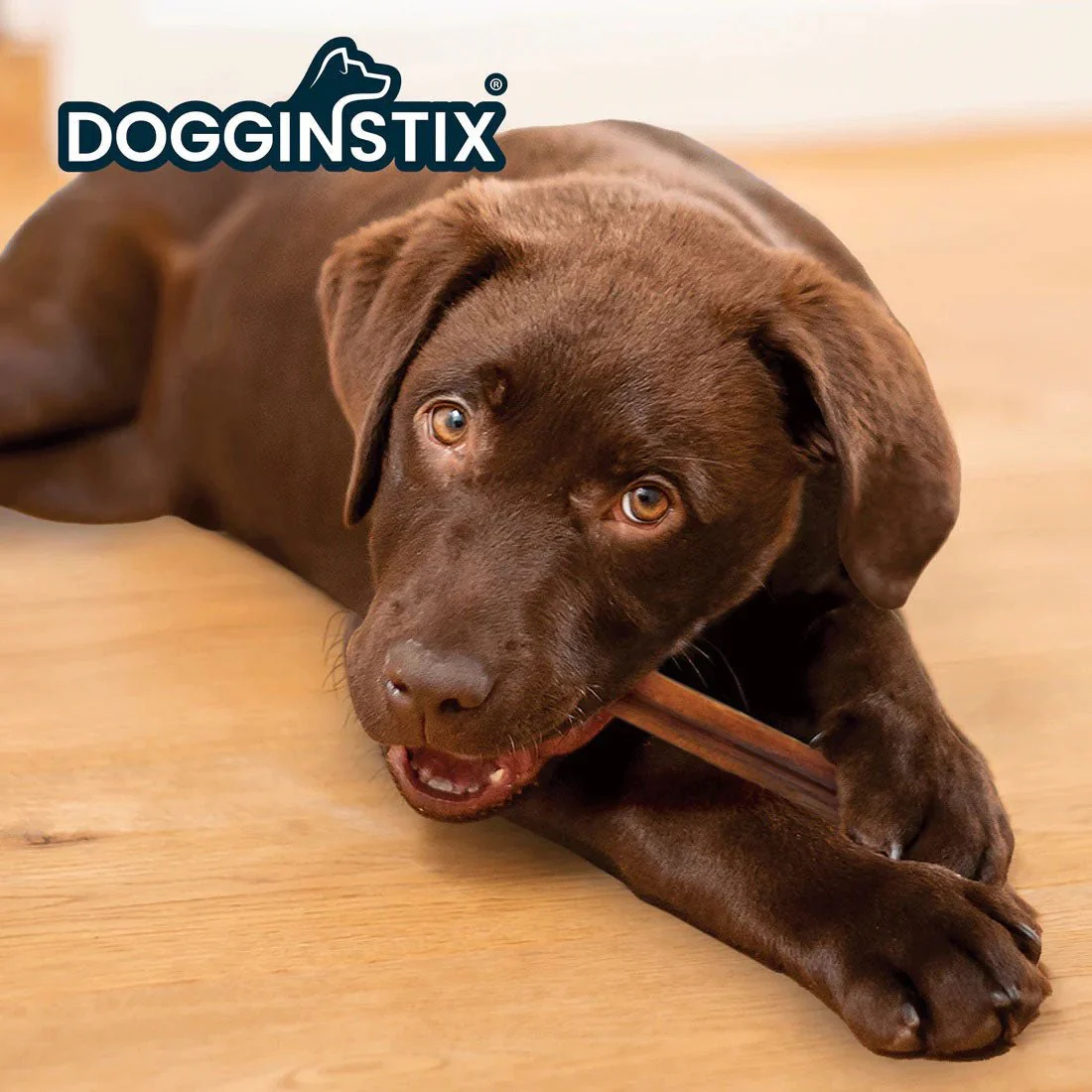 Dogginstix Bully Stick Dog Chew, All-Natural, Grass-Fed Beef, Odor-Free - Image 4