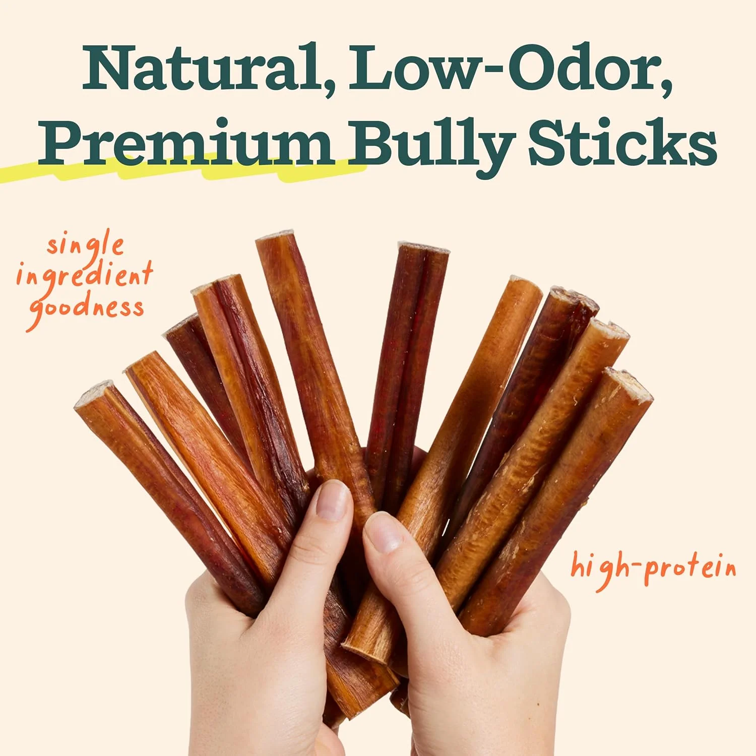 BullySafe Bully Sticks– Odor-Free, Long-Lasting Dog Chews | Grass-Fed, Free-Range, Single-Ingredient Beef Pizzle Treats - Image 4