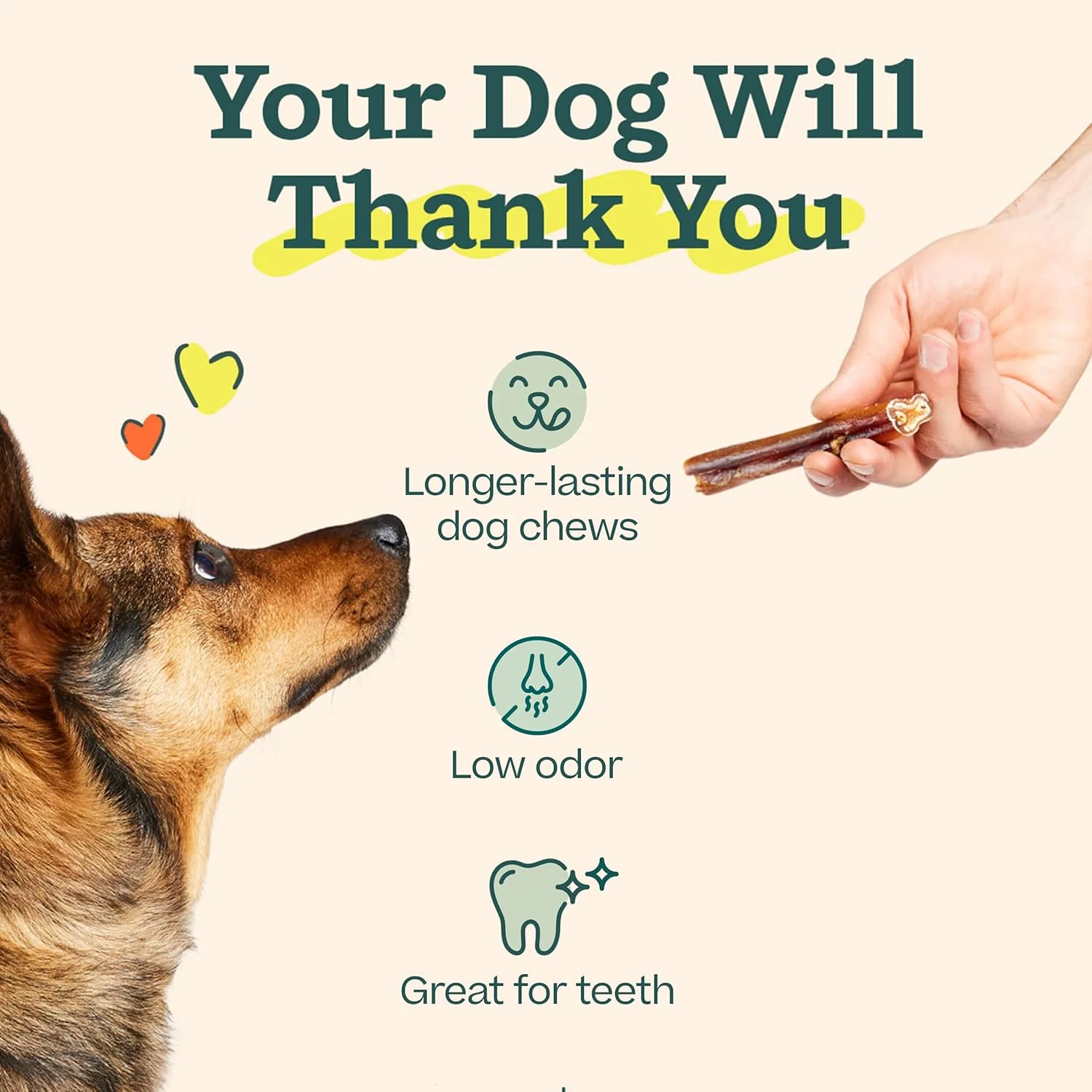 BullySafe Bully Sticks– Odor-Free, Long-Lasting Dog Chews | Grass-Fed, Free-Range, Single-Ingredient Beef Pizzle Treats - Image 5