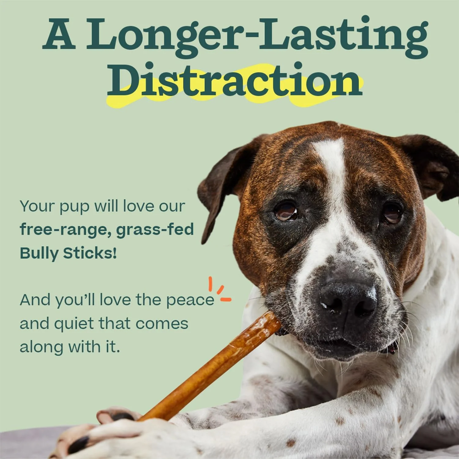 BullySafe Bully Sticks– Odor-Free, Long-Lasting Dog Chews | Grass-Fed, Free-Range, Single-Ingredient Beef Pizzle Treats - Image 9
