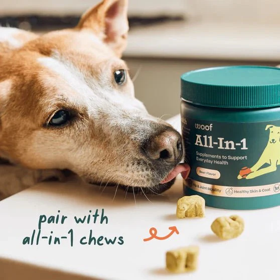 Pupsicle Everyday Wellness Pops Refills – Long Lasting Dog Treats for Joint, Calm, Allergy & Whole Body Health - Image 5
