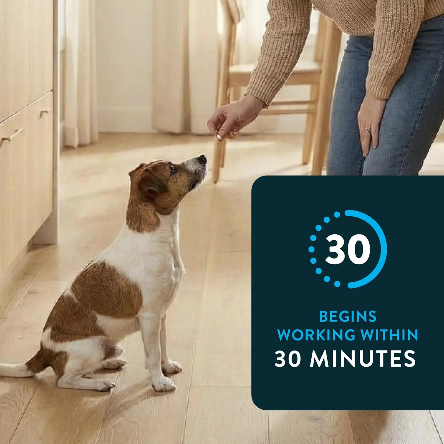 Capstar Oral Flea Treatment for Dogs - Image 4