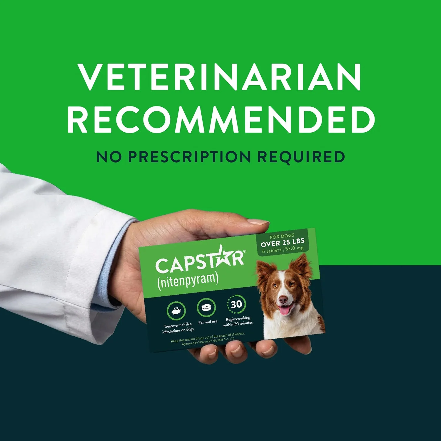 Capstar Oral Flea Treatment for Dogs - Image 7