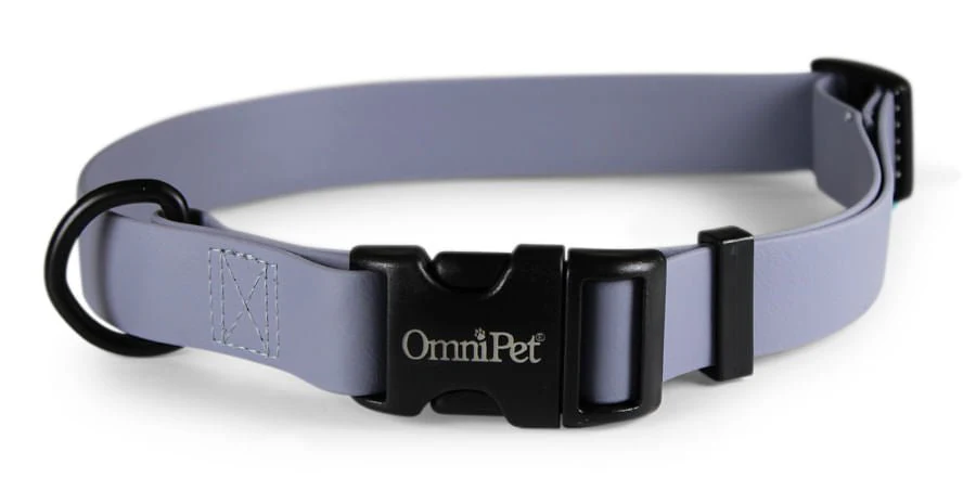 Carnival Dog Collars - Image 4