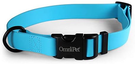 Carnival Dog Collars - Image 5