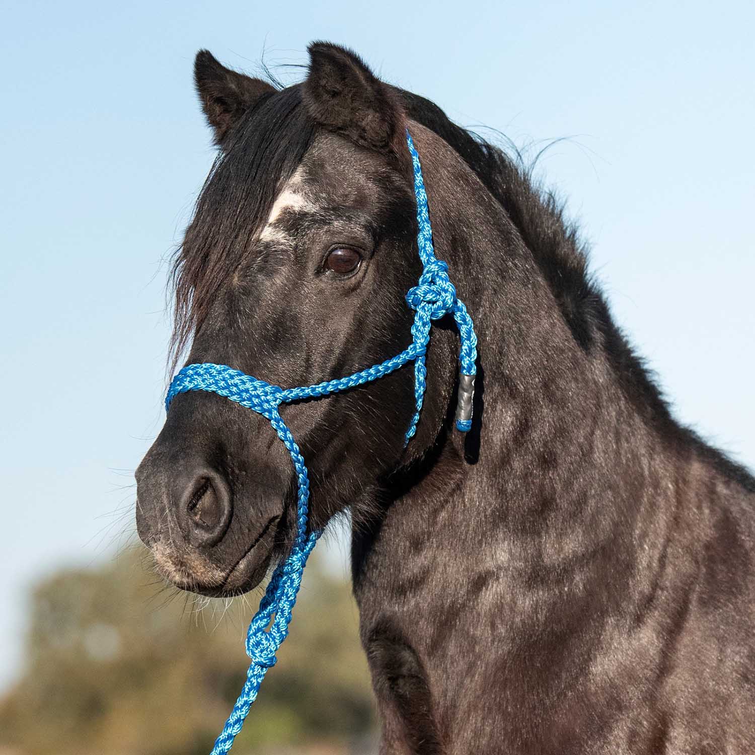 Cashel Flat Braid Pony Halter - Image 4