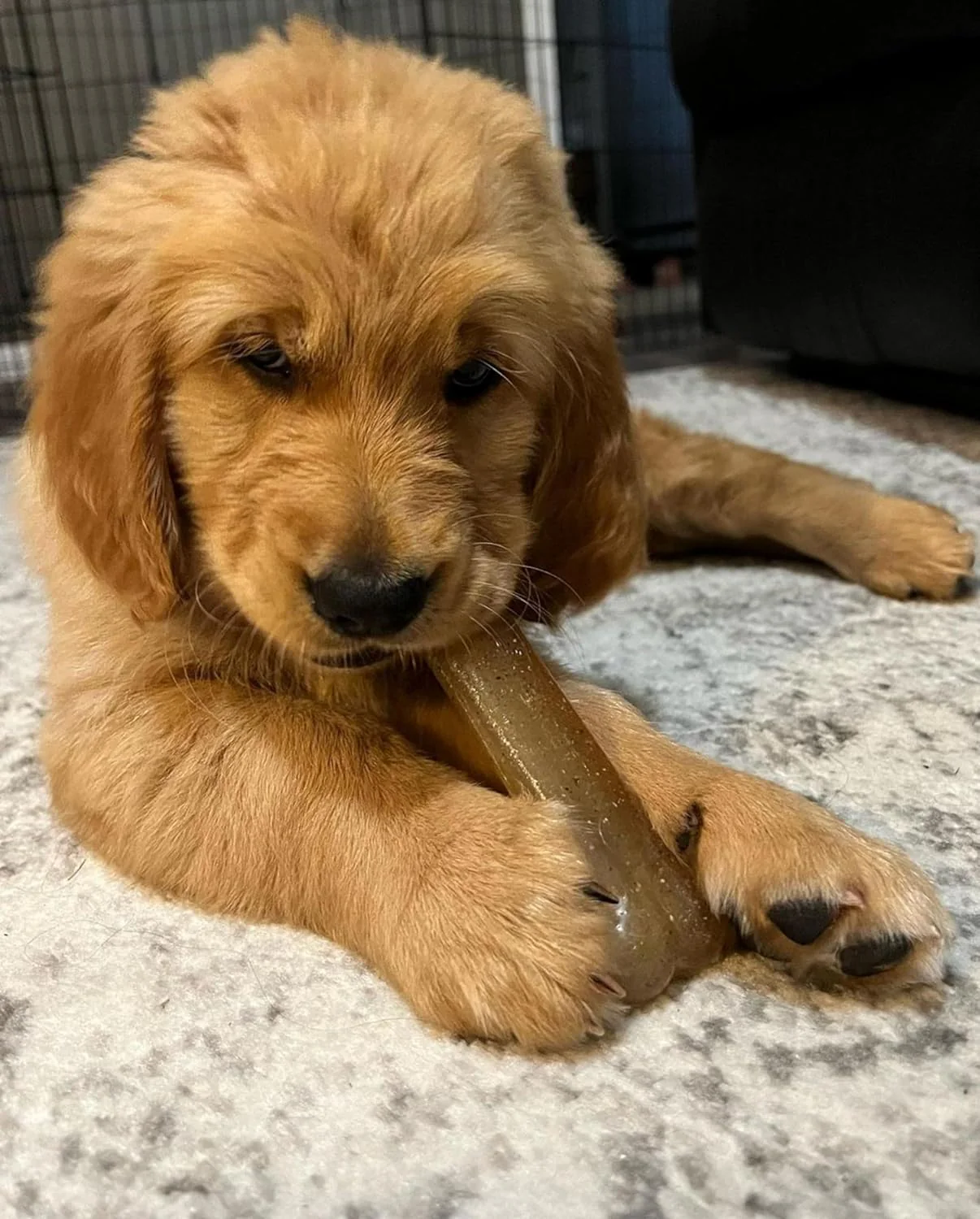 Nylabone Flexi Chew - Image 9