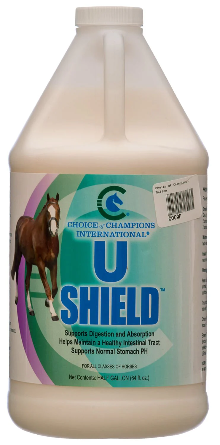 U Shield by Choice of Champions International - Image 3