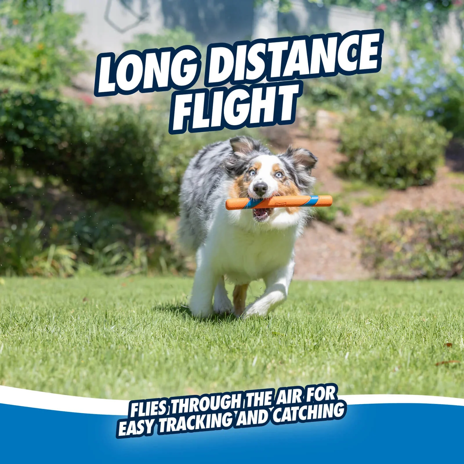 Chuckit! Ultra Fetch Stick - Image 3