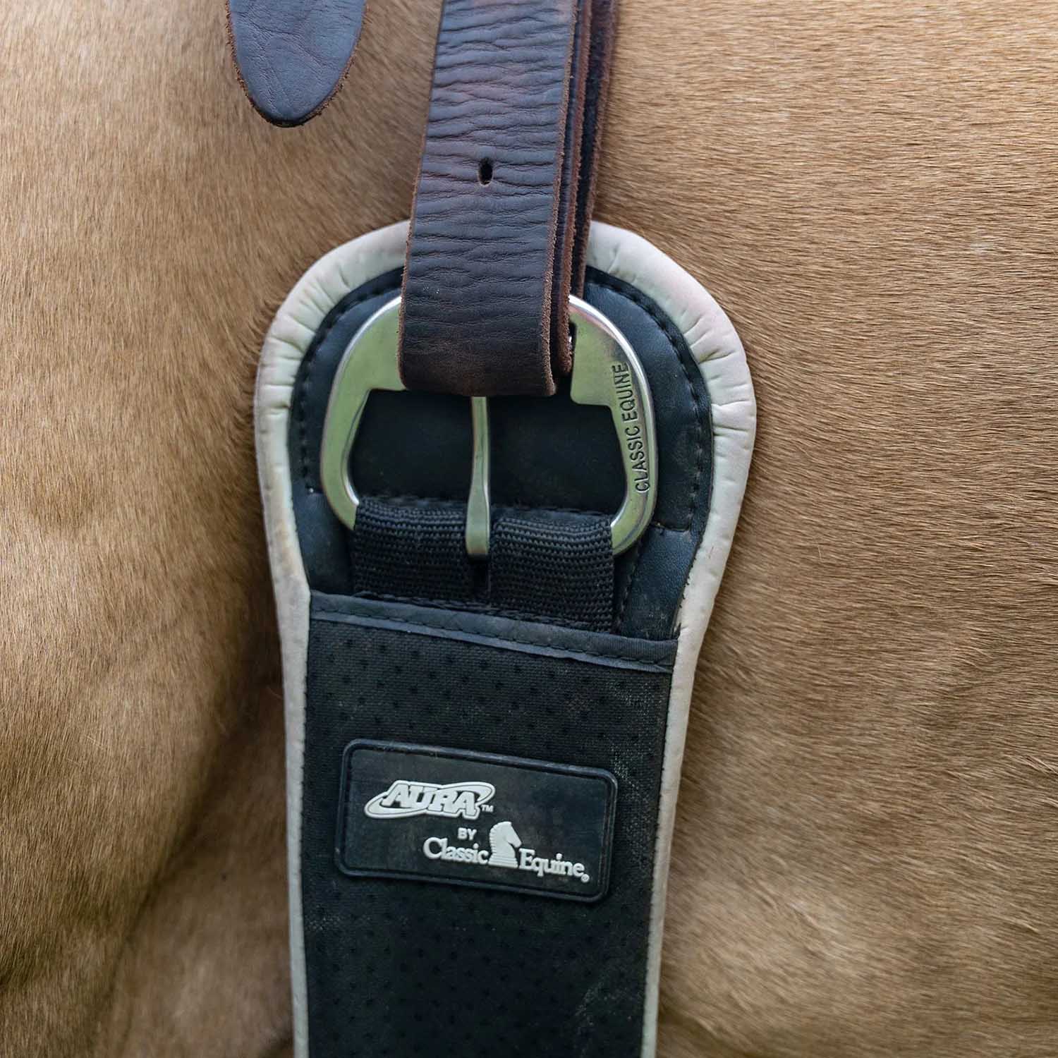 Classic Equine Aura Performance Air Flow Cinch, Roper - Image 4
