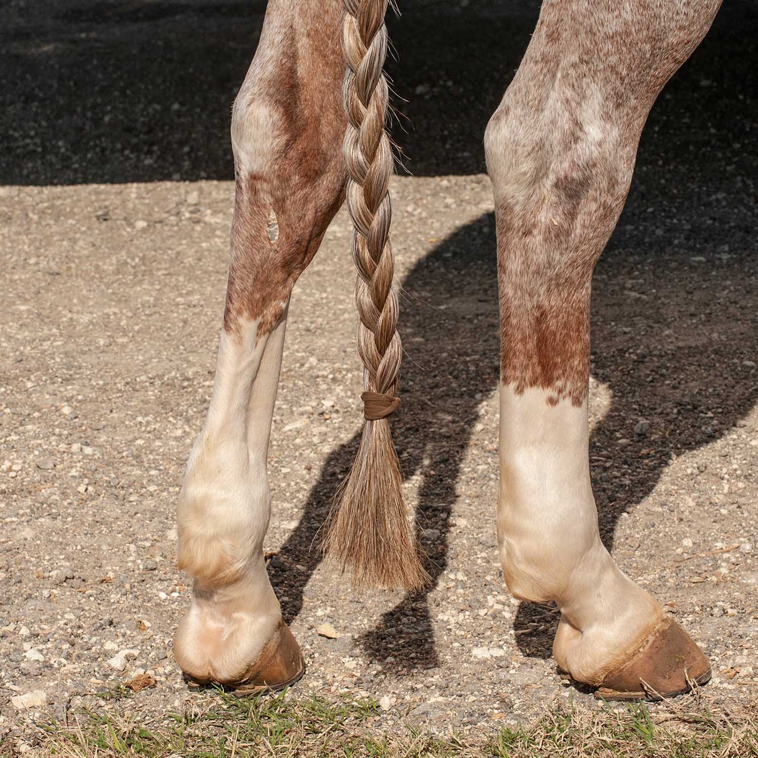 Classic Equine Jersey Tail Bands - Image 4