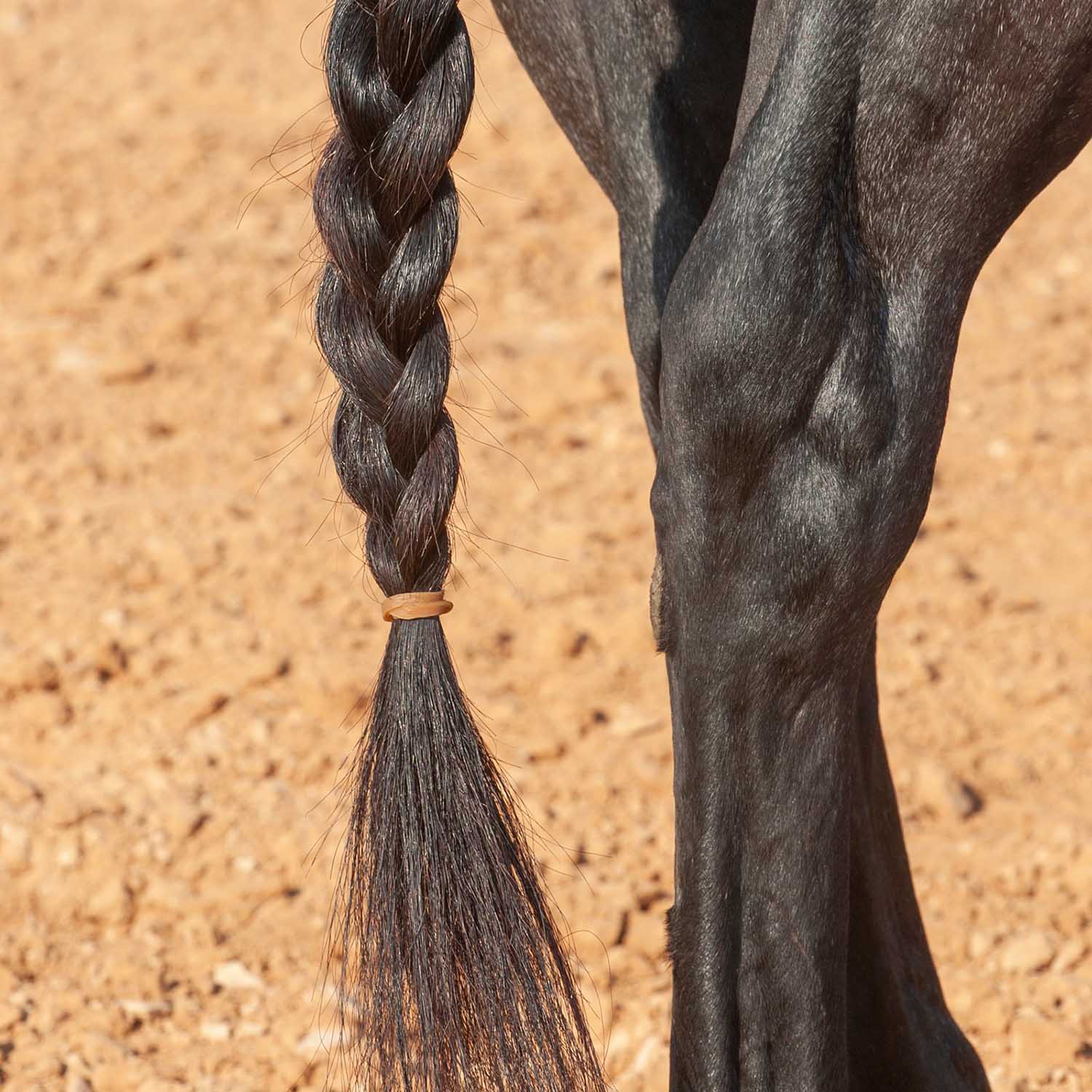 Classic Equine Rubber Tail Bands - Image 2