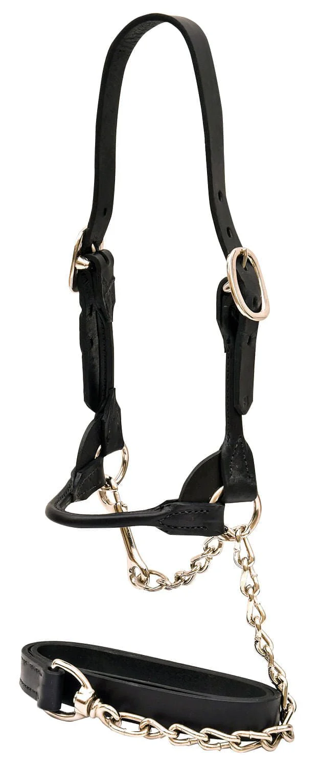 Weaver Leather Classic Rounded Cattle Show Halter with Lead