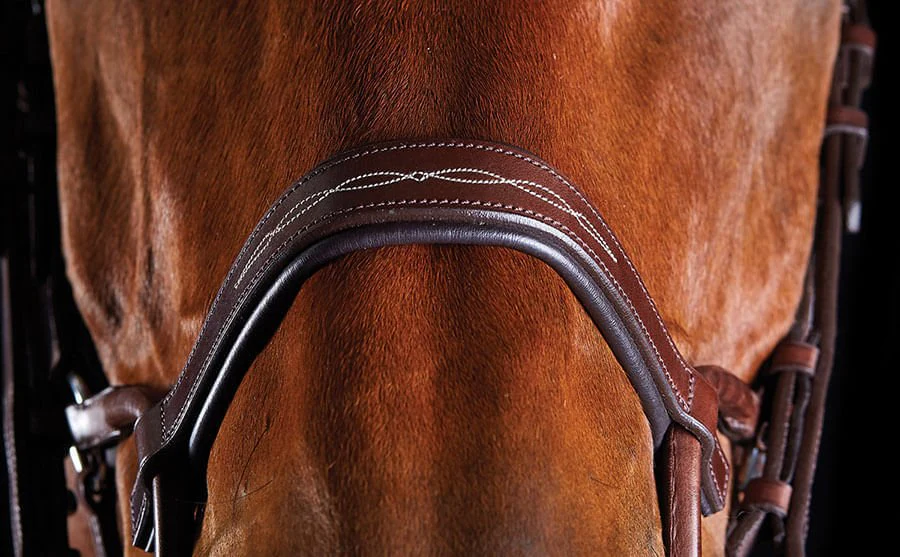 Collegiate ComFITec Fancy Stitch Bridle - Image 3