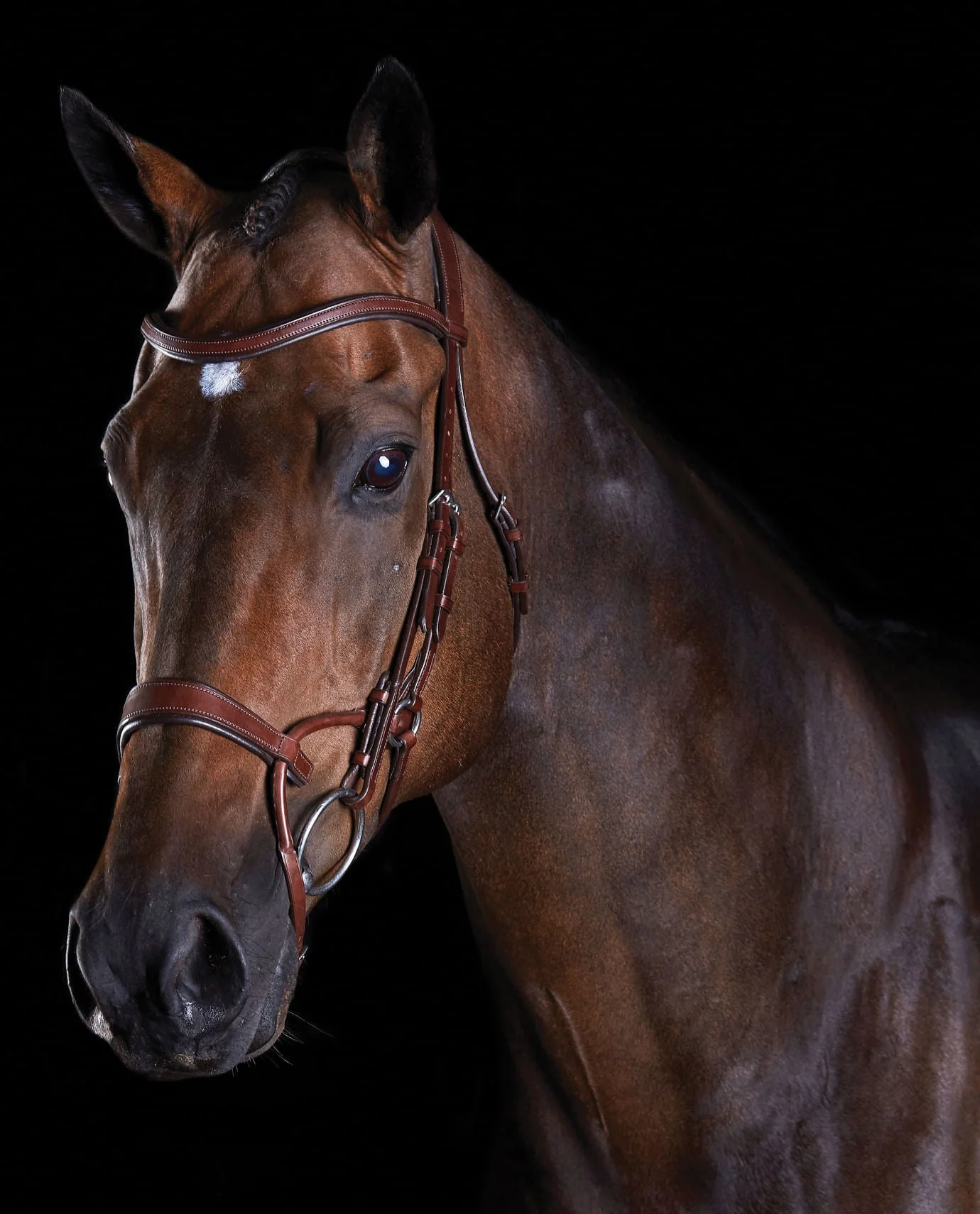 Collegiate ComFITec Training Bridle - Image 4