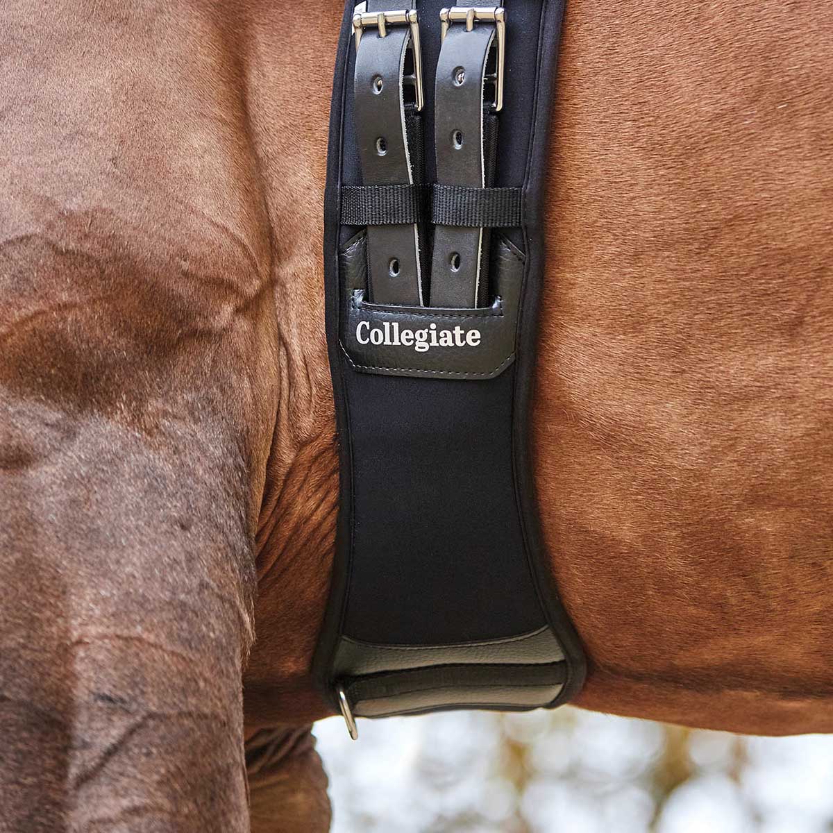 Collegiate Memory Foam Dressage Girth, Black - Image 20
