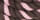 Weaver Colored Cotton Lead Ropes with Solid Brass Bolt Snap, 10' L - Image 6