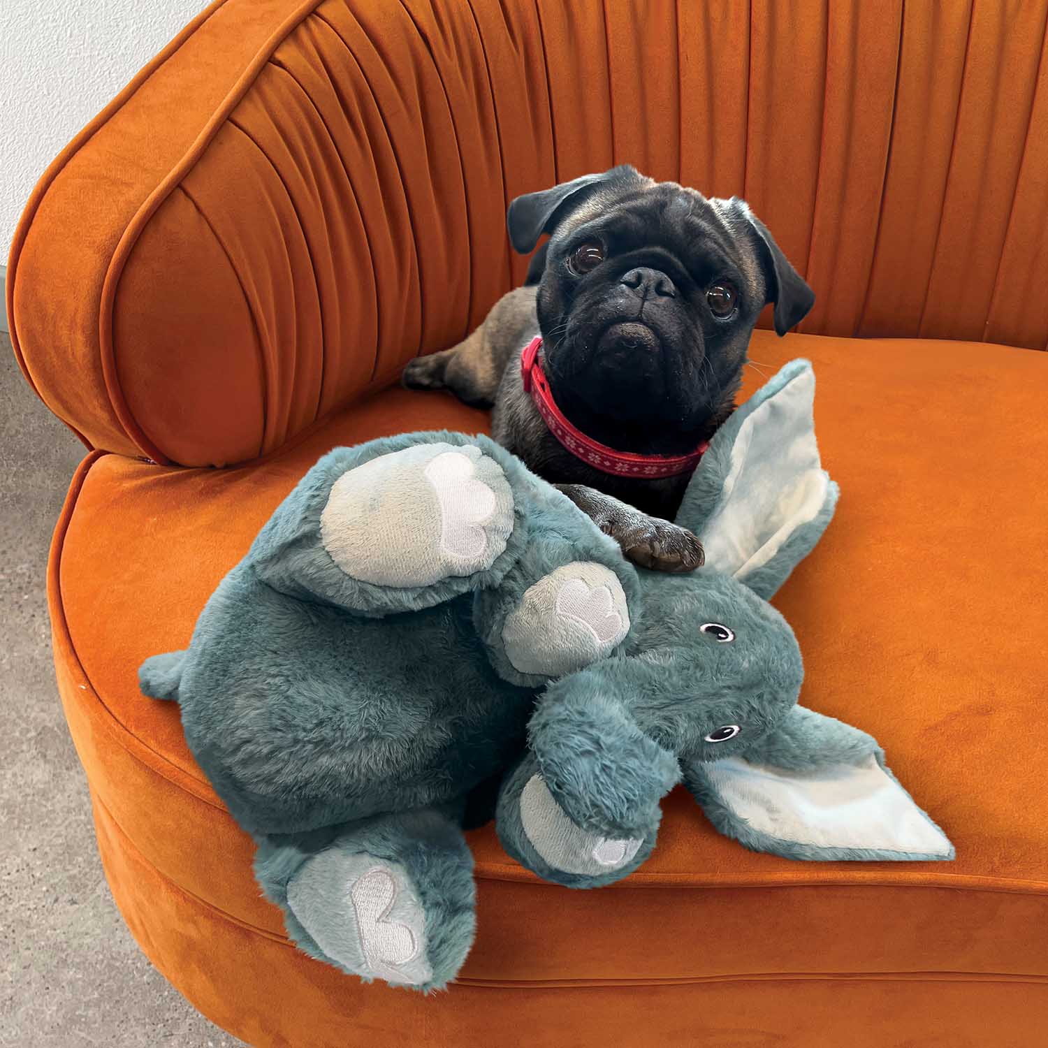 KONG Comfort Kiddos Jumbo Elephant, XL - Image 4