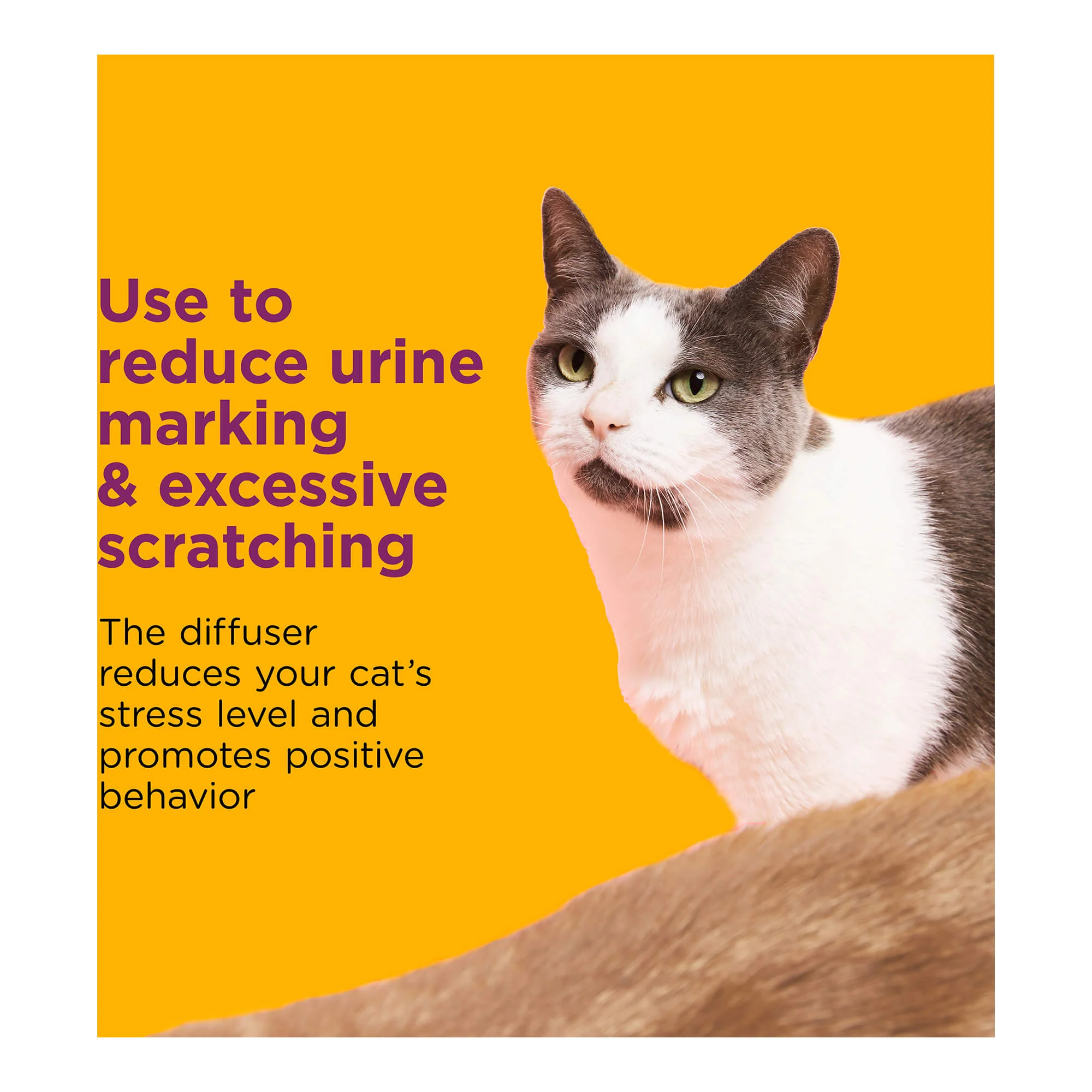 Comfort Zone Multi Cat Calming Diffuser & Refills – Pheromone Stress Relief - Image 9