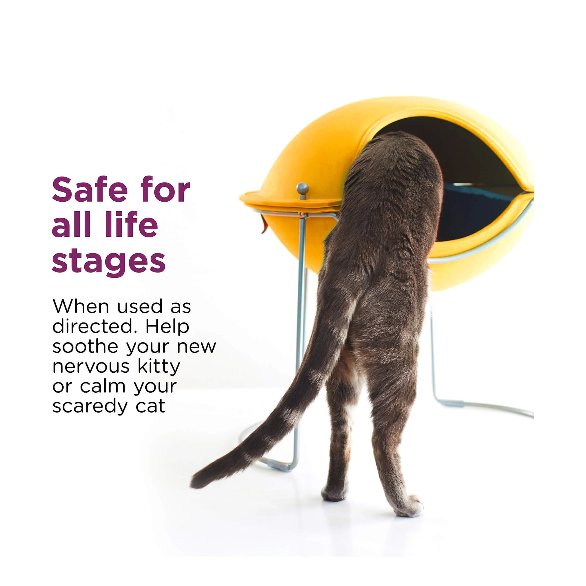 Comfort Zone Scratch Deterrent and Calming Spray for Cats - Image 5