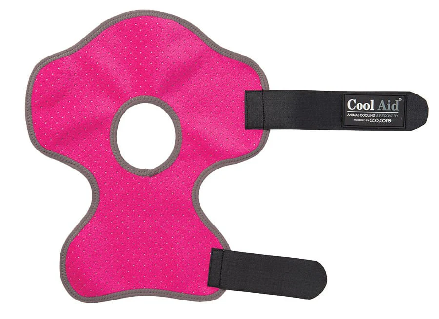 CoolCore Equine Icing and Cooling Hock Wraps, Pair
