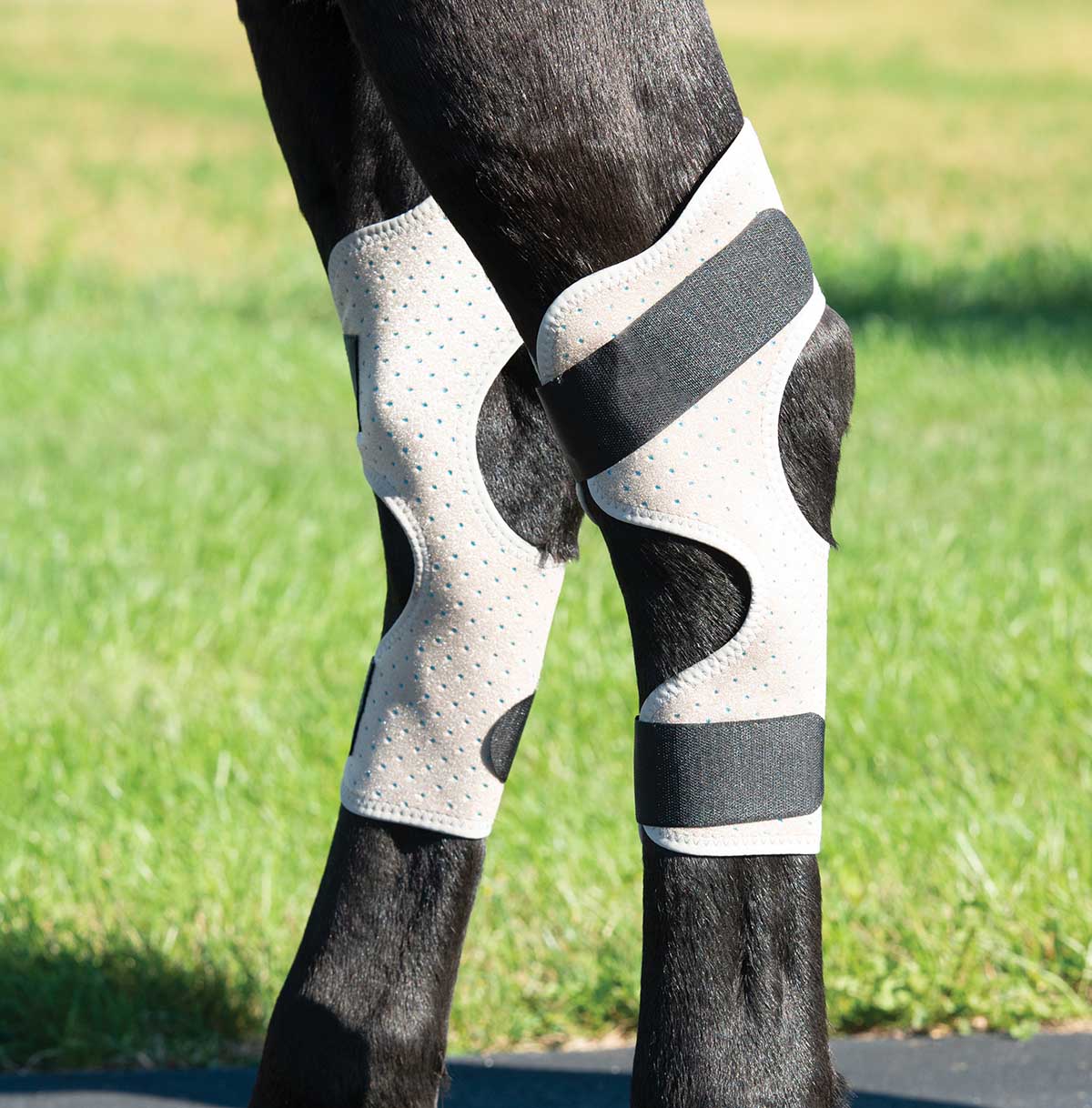 CoolCore Equine Icing and Cooling Hock Wraps, Pair - Image 2
