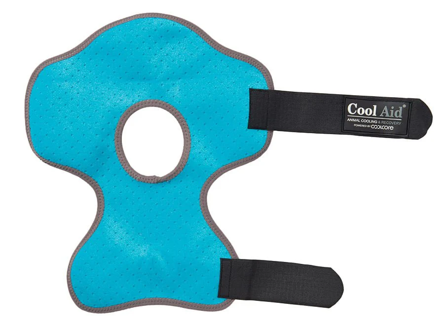 CoolCore Equine Icing and Cooling Hock Wraps, Pair - Image 3