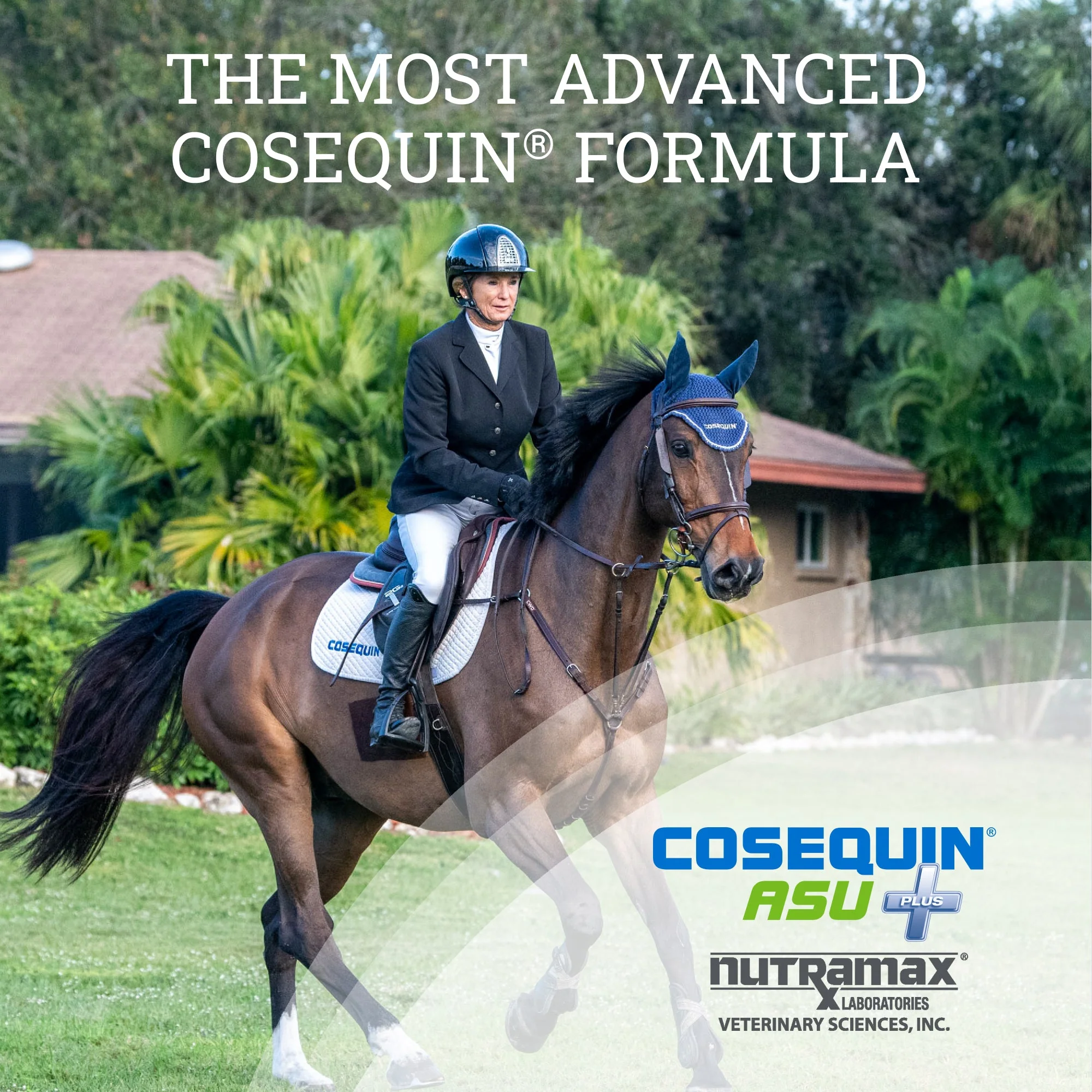 Nutramax Cosequin ASU Plus Joint Health Supplement for Horses - Image 8