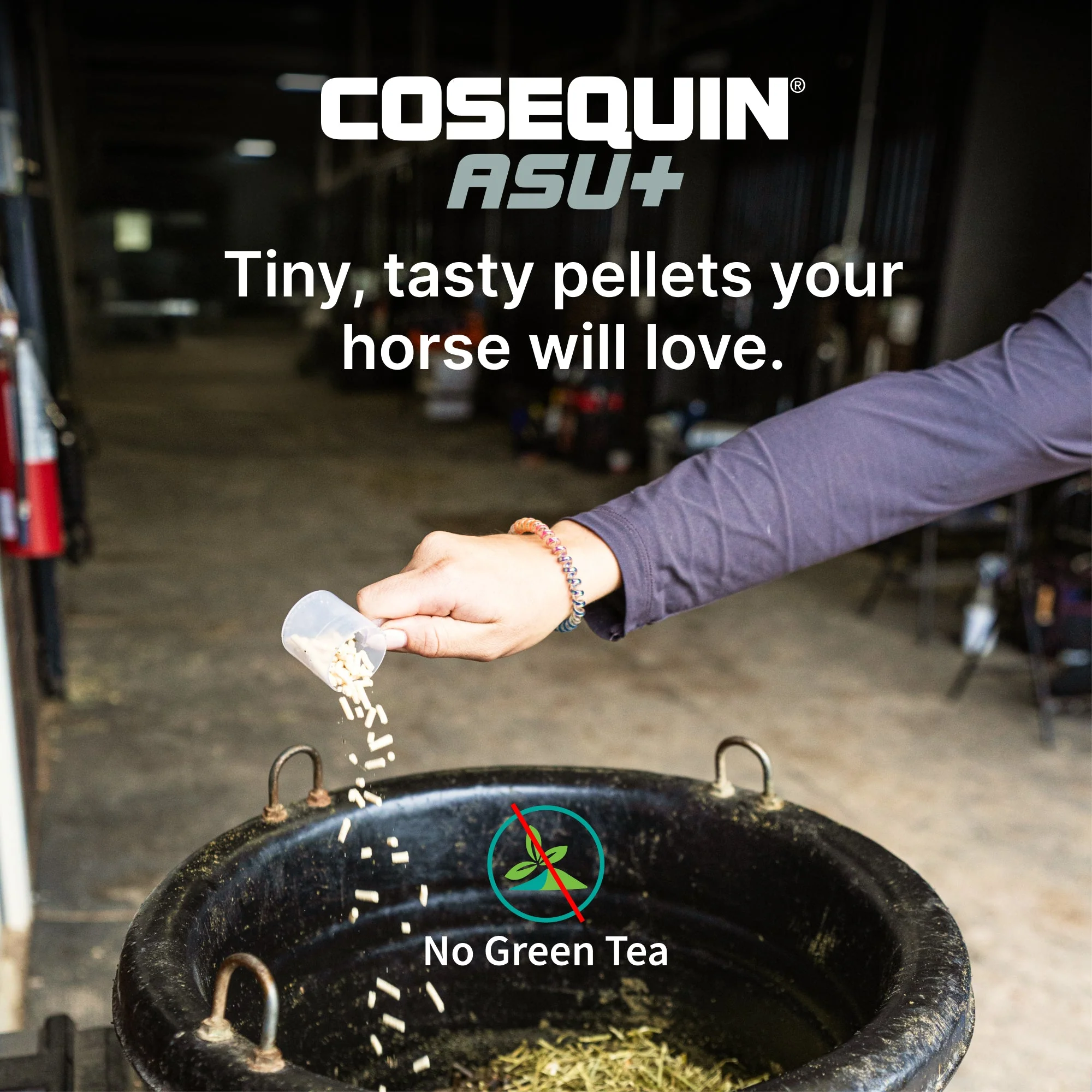Nutramax Cosequin Equine ASU Plus Pellets, 1050 Grams - Image 7
