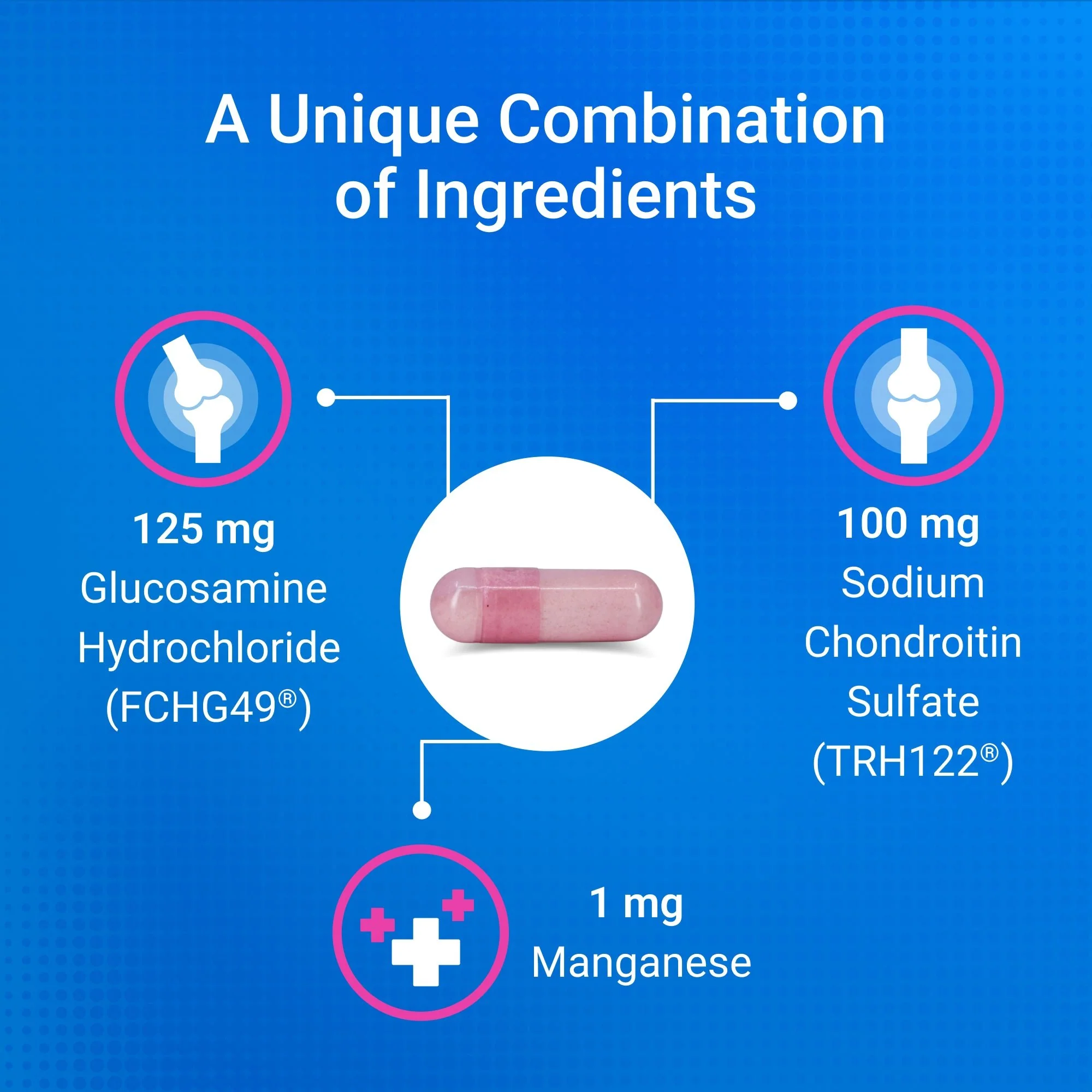 Nutramax Cosequin Joint Health with With Glucosamine and Chondroitin Supplement for Cats - Image 6