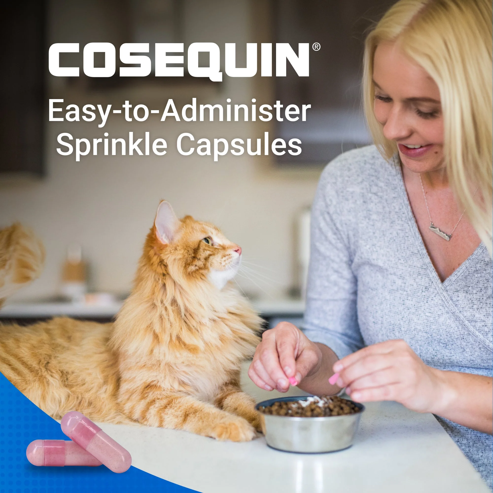 Nutramax Cosequin Professional for Cats, 60 Capsules - Image 6