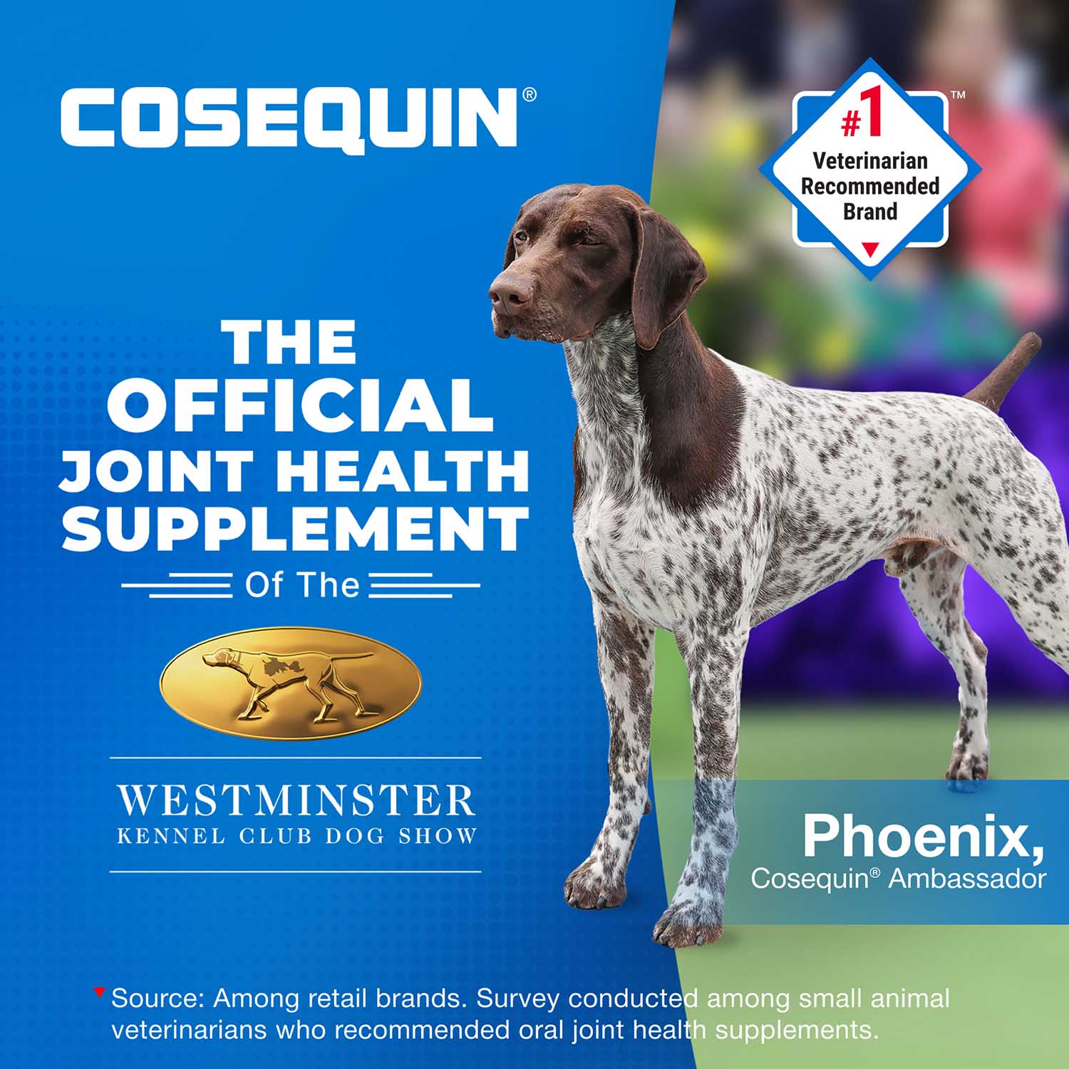 Nutramax Cosequin Mini Plus MSM Professional Line, 45 Soft Chews - Image 6