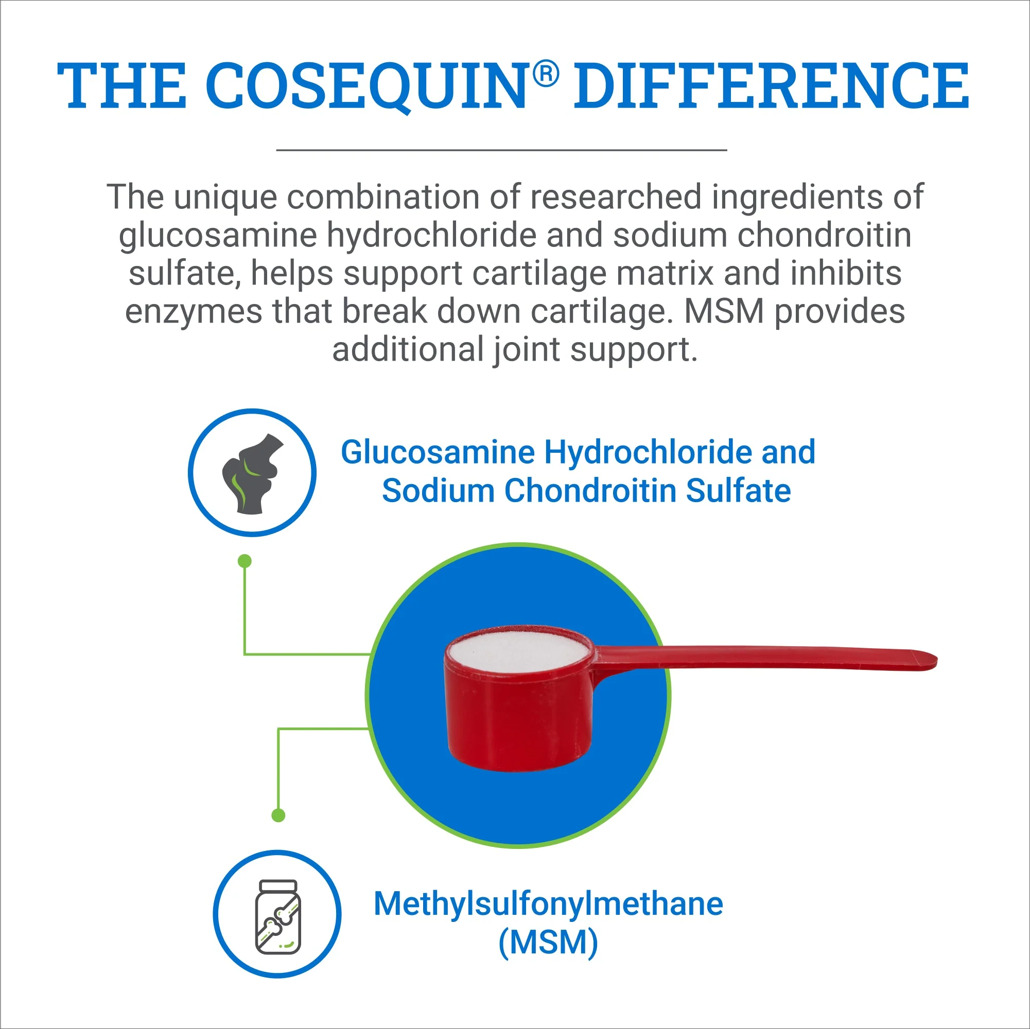 Nutramax Cosequin Optimized with MSM Joint Health Supplement for Horses - Image 5