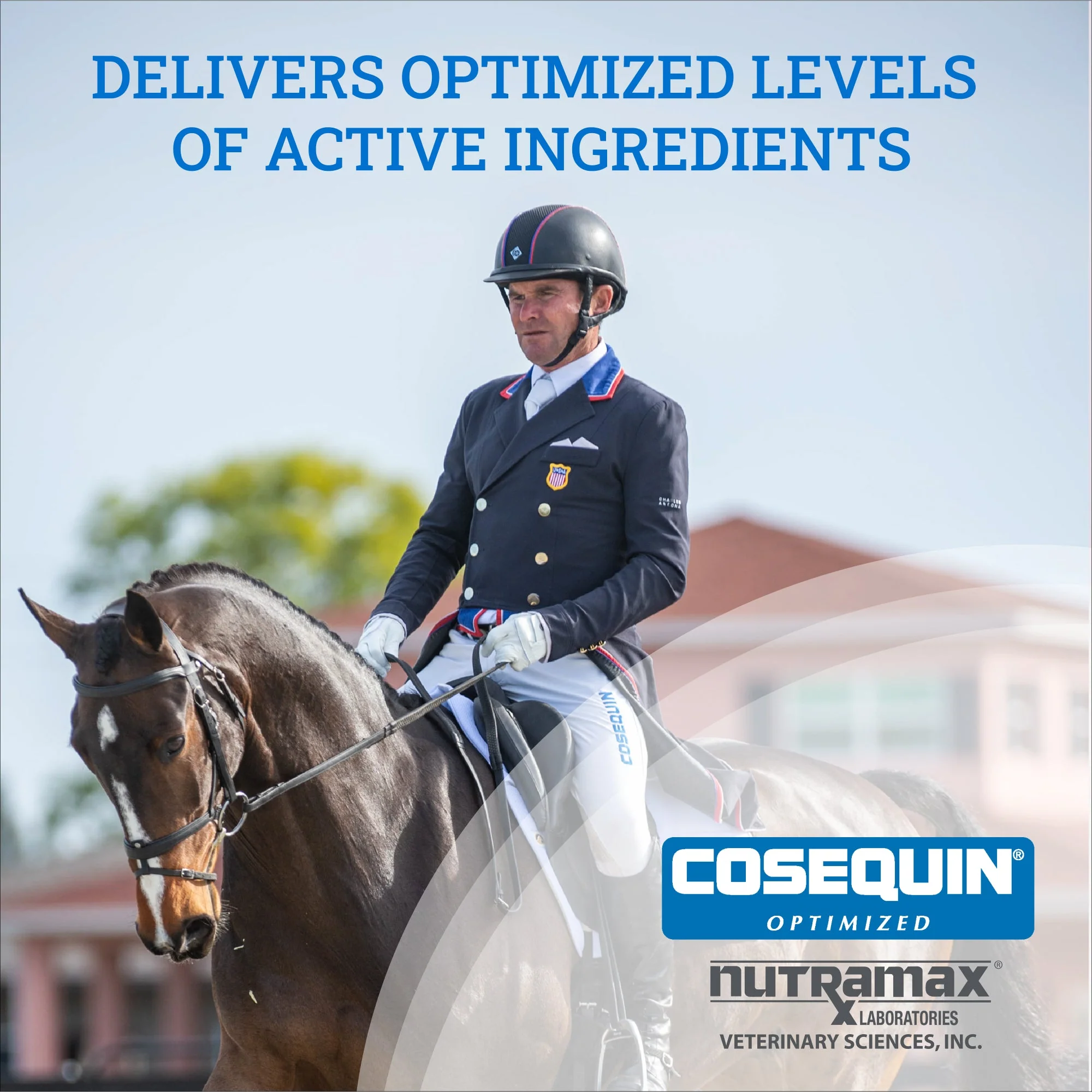 Nutramax Cosequin Optimized with MSM Joint Health Supplement for Horses - Image 8