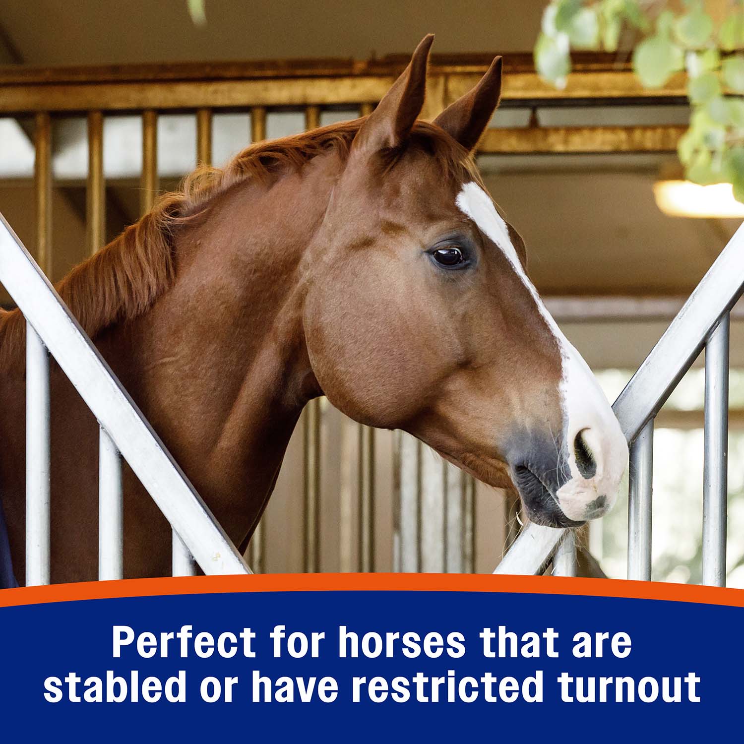 Cough Free Equine Pellets - Image 12