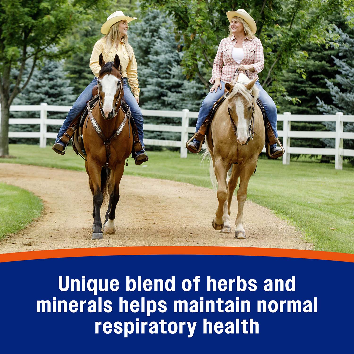 Cough Free Equine Pellets - Image 13