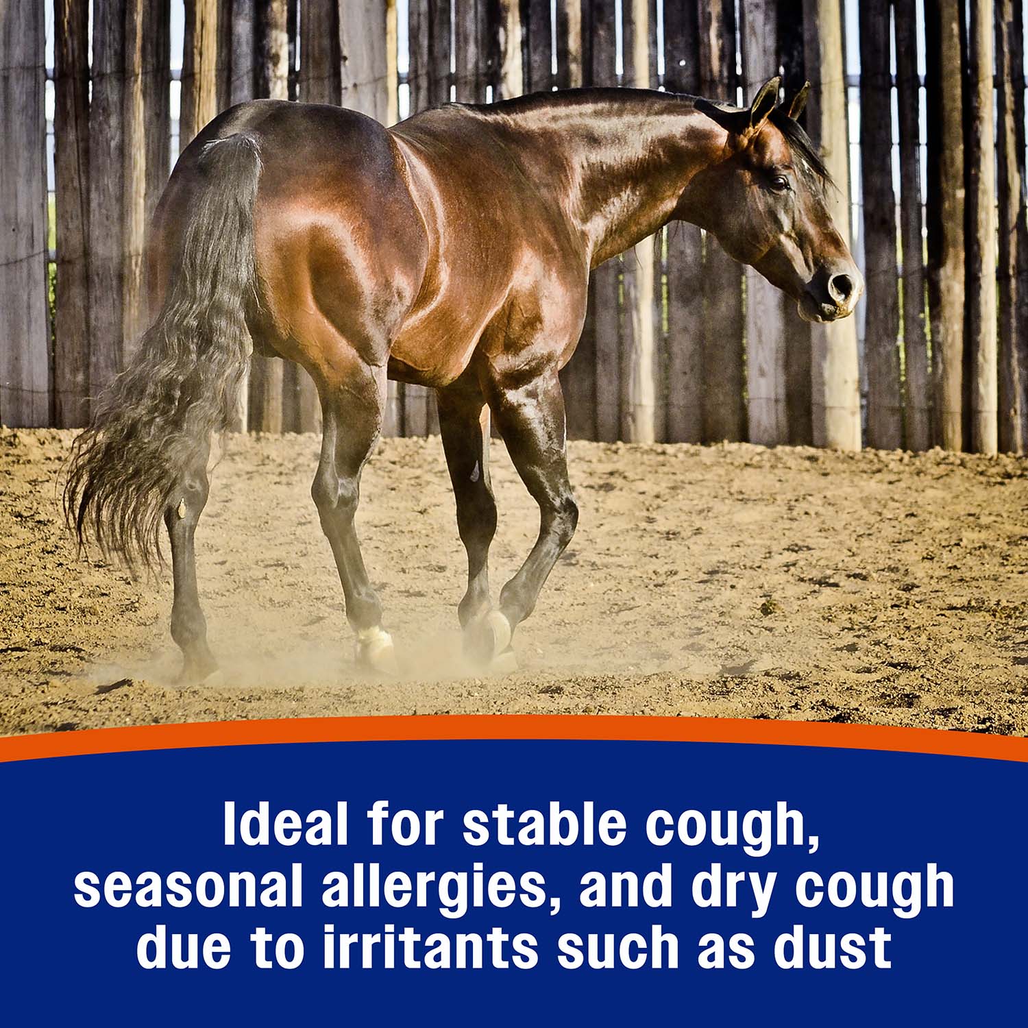 Cough Free Equine Pellets - Image 4