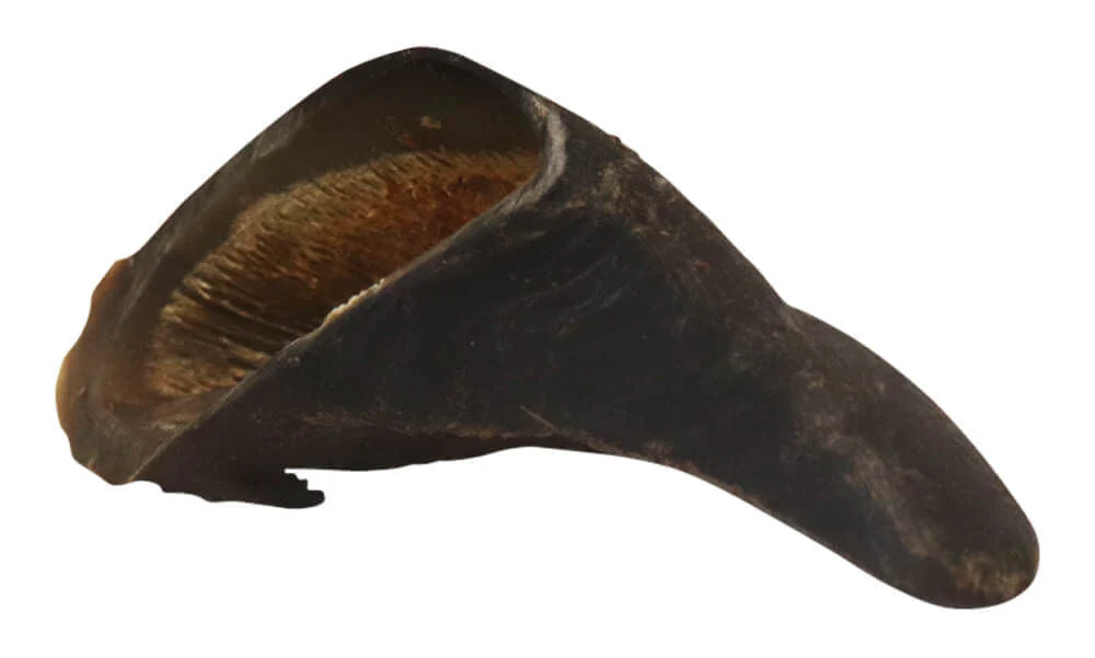 Pet's Choice Cow Hooves - Image 5
