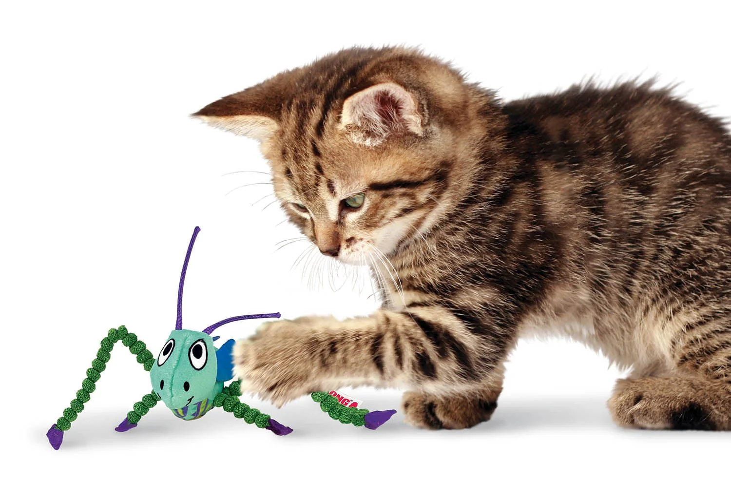 KONG Crackles Grasshopper Catnip Cat Toy - Image 2