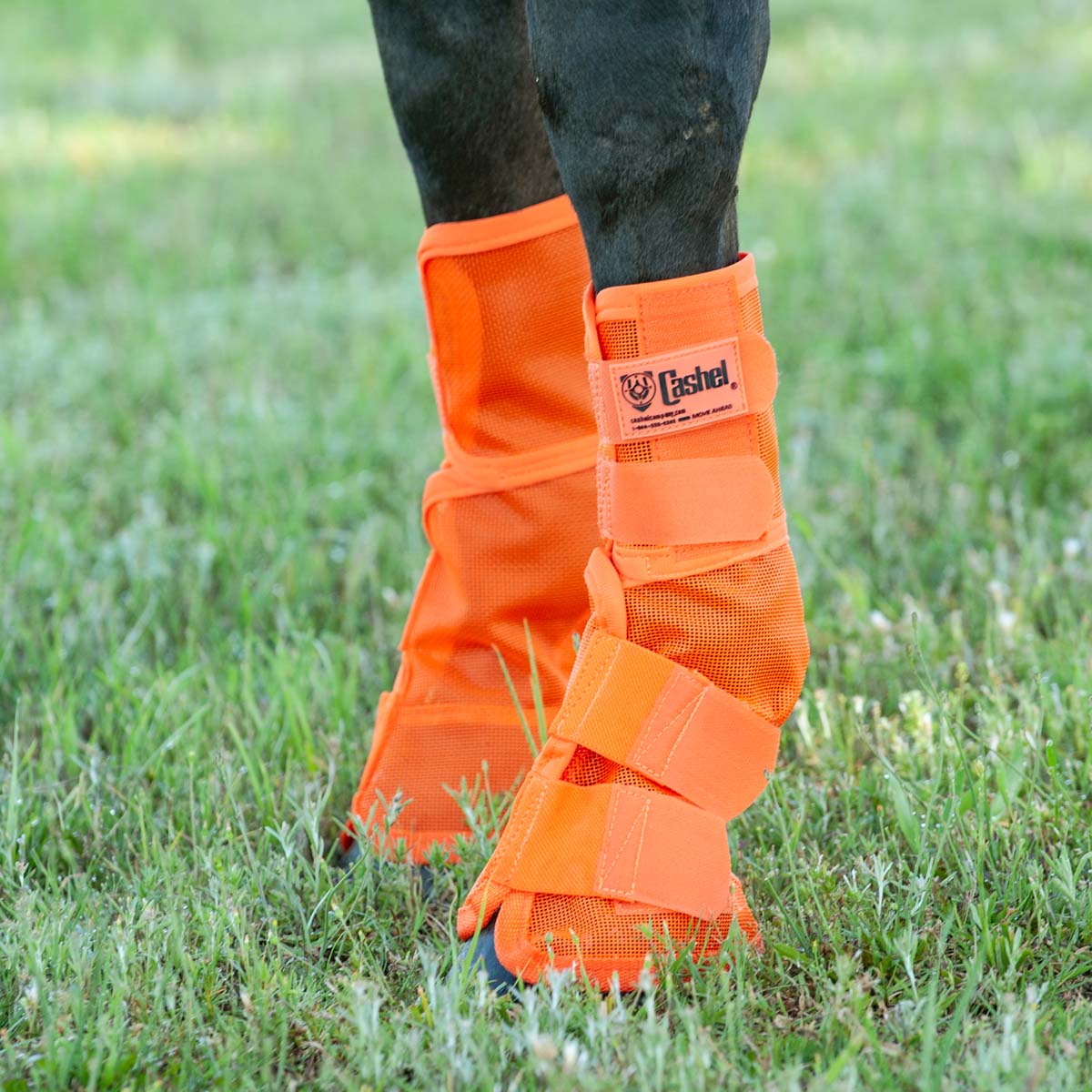Cashel Crusader Horse Fly Boots Contoured Fit Leg Guards, Set of 2 - Image 6