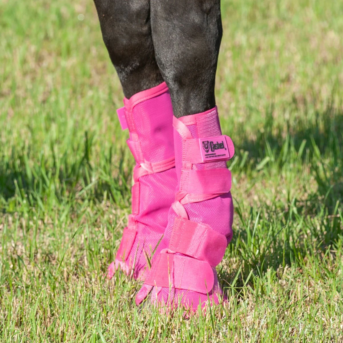 Cashel Crusader Horse Fly Boots Contoured Fit Leg Guards, Set of 2 - Image 7