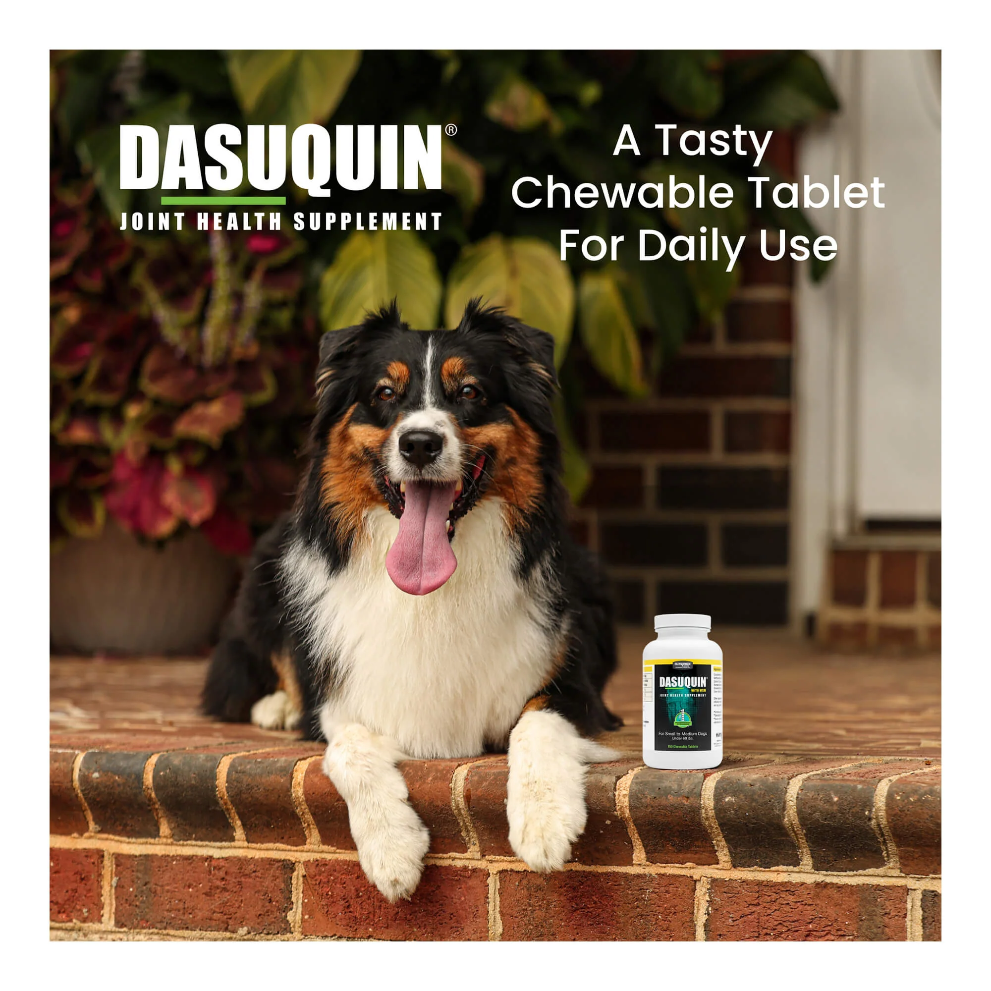 Nutramax Dasuquin Joint Supplement for Dogs (with Glucosamine, Plus Chondroitin, ASU, MSM & More) - Image 14