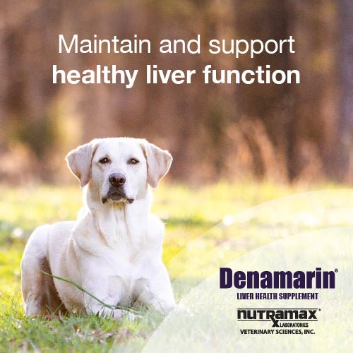 Nutramax Denamarin Liver Health Supplement for Dogs, Chewable Tablets - Image 16